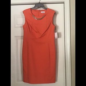 NWT Orange Sheath Dress